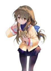 Rule 34 | 1girl, absurdres, black pantyhose, brown hair, clannad, cookie, feet out of frame, food, hair ribbon, hands up, highres, hikarizaka private high school uniform, holding, holding food, ibuki fuuko, index finger raised, leaning forward, long hair, long sleeves, looking at viewer, low-tied long hair, miniskirt, orange eyes, pantyhose, pleated skirt, ribbon, school uniform, seoji, serious, sidelocks, simple background, skirt, solo, standing, star-shaped cookie, star-shaped food, star (symbol), turtleneck, white background