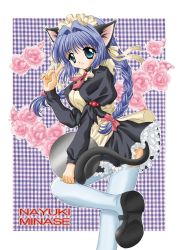 Rule 34 | 1girl, animal ears, blue eyes, blue hair, braid, cat ears, cat tail, cowboy shot, female focus, flower, kanon, minase nayuki, non-web source, plant, solo, standing, tail, thighhighs, twintails, waitress