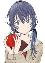 Rule 34 | 1girl, absurdres, blue eyes, blue hair, brown cardigan, brown dress, cardigan, commentary request, dress, food, hasu no sora school uniform, highres, holding, holding food, holding vegetable, link! like! love live!, long hair, long sleeves, looking at viewer, love live!, mole, mole on neck, murano sayaka, neckerchief, red neckerchief, sailor collar, school uniform, sidelocks, smile, solo, tomato, tommer, twintails, upper body, vegetable, virtual youtuber, white background, white sailor collar, winter uniform