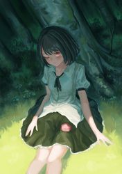 Rule 34 | 1girl, against tree, bad perspective, black hair, black ribbon, black skirt, blush, circle skirt, closed mouth, collarbone, collared shirt, day, dress shirt, dutch angle, fjsmu, forest, frilled skirt, frills, from above, grass, hat, highres, legs together, light blush, nature, neck ribbon, on ground, one eye closed, outdoors, puffy short sleeves, puffy sleeves, red eyes, red hat, ribbon, sanpaku, shameimaru aya, shirt, short hair, short sleeves, sitting, skirt, solo, tokin hat, touhou, tree, unworn headwear, white shirt, wing collar