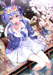 Rule 34 | 1girl, absurdres, alternate costume, animal ears, architecture, black ribbon, blue jacket, blue stripes, blush, breasts, candy, cherry blossoms, choker, commentary request, dappled sunlight, dress, east asian architecture, eating, eyewear on head, food, full body, fur collar, fur trim, hair ribbon, haruhina purple, heart, heart-shaped eyewear, highres, hololive, jacket, licking, lollipop, looking at viewer, medium breasts, open clothes, open jacket, orange eyes, outdoors, petals, pond, rabbit-shaped eyewear, rabbit ears, rabbit girl, ribbon, shoes, short hair, short twintails, sitting, smile, soaking feet, solo, sunglasses, sunlight, tatami, twintails, unworn shoes, usada pekora, usada pekora (casual), virtual youtuber, water, white choker, white dress, white hair