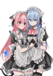 Rule 34 | 2girls, absurdres, alternate costume, animal ears, apron, black dress, black gloves, black legwear, blue bow, blue eyes, blue hair, blue ribbon, blush, bow, braid, breasts, cat ears, cat girl, cat tail, chihuri, closed mouth, collarbone, commentary request, dress, enmaided, eye contact, frilled apron, frilled legwear, frills, garter straps, gloves, hair between eyes, hair bow, heart, highres, holding hands, interlocked fingers, kemonomimi mode, long hair, looking at another, maid, maid headdress, medium breasts, multiple girls, neck ribbon, original, parted lips, pink bow, pink hair, puffy short sleeves, puffy sleeves, purple eyes, ribbon, short sleeves, simple background, smile, tail, tail wrap, thighhighs, twin braids, very long hair, white apron, white background, wrist cuffs, yuri