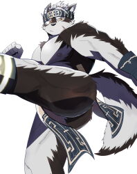 Rule 34 | 1boy, :/, abs, ainu clothes, animal ears, ass, bara, bulge, chest hair, feet out of frame, furry, furry male, grey fur, grey hair, headband, highres, horkeu kamui, kicking, large pectorals, looking at viewer, male focus, muscular, muscular male, nipples, pectorals, pelvic curtain, serious, short hair, sideways mouth, solo, suna sand1, thick thighs, thighs, tokyo houkago summoners, two-tone fur, vambraces, white background, white fur, wolf boy, wolf ears, yellow eyes