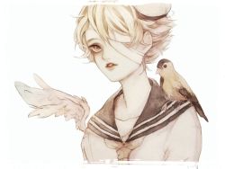 Rule 34 | 1boy, animal, animal on shoulder, bandages, bandage over one eye, bird, bird on shoulder, blonde hair, feathered wings, hat, highres, james (vocaloid), looking away, male focus, neckerchief, oliver (vocaloid), one eye covered, painting (medium), parted lips, sailor collar, sailor hat, sanpaku, simple background, single wing, tency, traditional media, upper body, vocaloid, watercolor (medium), white background, white headwear, wings, yellow eyes