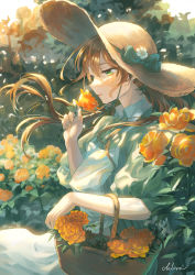 Rule 34 | 1girl, apron, basket, blush, brown hair, chlora imasayo, collared shirt, commentary request, daisy, day, floating hair, flower, green eyes, green shirt, hat, hat flower, hat ribbon, highres, holding, holding basket, holding flower, long hair, original, outdoors, puffy sleeves, ribbon, rose, shirt, signature, solo, standing, straw hat, sun hat, white apron