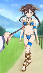 Rule 34 | 2girls, animal ears, armor, bikini armor, blush, breasts, brown eyes, brown hair, collar, dog ears, gertrud barkhorn, groin, leash, looking at viewer, medium breasts, miyafuji yoshika, monousa, multiple girls, navel, outdoors, sky, strike witches, twintails, world witches series