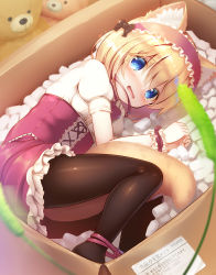 Rule 34 | animal ear fluff, animal ears, between legs, black pantyhose, blonde hair, blue eyes, blurry, blurry foreground, blush, bound, bound ankles, bound wrists, box, breasts, cardboard box, cat teaser, commentary request, fetal position, frills, full-face blush, hairband, in box, in container, looking at viewer, lying, motion blur, on side, open mouth, original, packing peanuts, pantyhose, psyche3313, puffy short sleeves, puffy sleeves, shirt, short hair, short sleeves, small breasts, solo, stuffed animal, stuffed toy, tail, tail between legs, teddy bear, white shirt, wrist cuffs