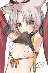Rule 34 | 1girl, animal ears, armpits, arms up, azur lane, black eyes, blush, breasts, detached sleeves, grey hair, highres, kippu, lifted by self, looking at viewer, mouth hold, shikigami, short hair, shouhou (azur lane), simple background, small breasts, solo, sweat, upper body, white background, wide sleeves