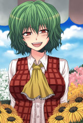 Rule 34 | 1girl, :d, ascot, blush, breasts, cloud, day, female focus, field, flower, flower field, green hair, highres, kazami yuuka, large breasts, mokku, open mouth, plaid, plaid vest, red eyes, short hair, smile, solo, sunflower, sunflower field, touhou, upper body, vest