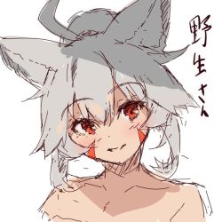 Rule 34 | 1girl, ahoge, animal ear fluff, animal ears, collarbone, commentary request, facial mark, fox ears, grey hair, hair between eyes, head tilt, high ponytail, looking at viewer, original, parted lips, ponytail, red eyes, sidelocks, simple background, sketch, solo, translation request, upper body, white background, yuuji (yukimimi)