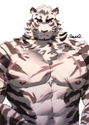 Rule 34 | 1boy, abs, animal ears, arknights, bara, completely nude, dilukha (nyaalgebra), furry, furry male, highres, large pectorals, looking at viewer, male focus, mountain (arknights), muscular, muscular male, navel, nipples, nude, pectoral focus, pectorals, scar, scar across eye, scar on chest, scar on face, scar on stomach, short hair, solo, tiger boy, tiger ears, tiger stripes, upper body, white background, white fur