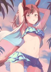 Rule 34 | 1girl, absurdres, animal ears, armpits, arms behind back, arms up, bikini, bikini skirt, blouse, blue bikini, blush, breasts, brown eyes, brown hair, cowboy shot, day, frilled bikini, frills, highres, horse ears, horse girl, horse tail, kuro kinkan, long hair, looking at viewer, multicolored hair, navel, nice nature (umamusume), open clothes, open shirt, outdoors, palm tree, parted lips, pink sky, ponytail, red hair, shirt, short sleeves, sky, small breasts, solo, stomach, streaked hair, swimsuit, tail, tree, two-tone hair, umamusume, underboob, white shirt