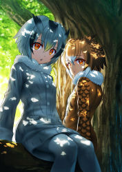 Rule 34 | 10s, 2girls, brown hair, coat, commentary, dappled sunlight, day, eurasian eagle owl (kemono friends), eyes visible through hair, fur collar, grey hair, hair between eyes, head wings, highres, in tree, kemono friends, long sleeves, looking at viewer, multicolored hair, multiple girls, northern white-faced owl (kemono friends), open mouth, orange eyes, outdoors, pantyhose, plant, short hair, sion (sion9117ys), sitting, sitting in tree, sunlight, tree, wings