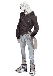 Rule 34 | 1boy, animal ears, black hoodie, body fur, dog boy, dog ears, dog tail, full body, furry, furry male, grey pants, highres, hood, hoodie, male focus, original, pants, seato-hao, shoes, short hair, skinny, snout, solo, tail, white background, white fur, white hair
