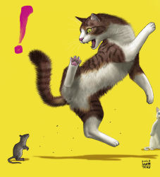 Rule 34 | !, 10s, 2016, animal, artist name, cat, commentary request, dated, fangs, jumping, matataku, mouse (animal), no humans, original, signature, surprised, surprised cat (matataku), yellow background