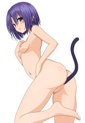 Rule 34 | anal tail, butt plug, fake tail, highres, purple eyes, purple hair, sairenji haruna, sex toy, standing, standing on one leg, tagme, tail, to love-ru, uncensored