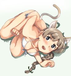 Rule 34 | 1girl, animal ears, bad id, bad pixiv id, barefoot, bikini, braid, breasts, brown hair, cat ears, cat tail, cleavage, front-tie top, full body, grey eyes, large breasts, looking at viewer, lying, lynette bishop, makio (makiomeigenbot), on side, open mouth, side-tie bikini bottom, simple background, single braid, solo, strike witches, swimsuit, tail, white background, white bikini, world witches series
