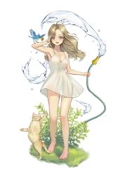 Rule 34 | 1girl, :d, absurdres, ahoge, animal, animal on arm, arm up, armpits, bare shoulders, barefoot, bird, bird on arm, blonde hair, blush, breasts, cat, cleavage, collarbone, commentary, dress, flower, full body, grass, highres, holding, holding hose, hose, leaf, legs, liquid, long hair, looking at viewer, medium breasts, open mouth, original, plant, see-through, short dress, simple background, sleeveless, sleeveless dress, smile, solo, standing, summer, sundress, v, water, white background, white dress, xi xeong, yellow flower