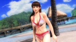 Rule 34 | 1girl, 3d, beach, bikini, black hair, breasts, dead or alive, dead or alive 5, highres, large breasts, lei fang, midriff, ocean, official art, official wallpaper, palm tree, swimsuit, tecmo, tree, wallpaper