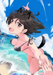 Rule 34 | 1girl, :d, absurdres, animal ears, bare shoulders, bikini, black bikini, black hair, blue sky, breasts, brown eyes, cat ears, cloud, highres, holding hands, kuroda kunika, looking at viewer, noble witches, ocean, open mouth, outdoors, pegina, pov, short hair, sky, small breasts, smile, swimsuit, tail, teeth, water drop, world witches series