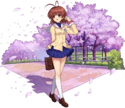 Rule 34 | 1girl, :d, antenna hair, ark order, artist request, beige jacket, blue skirt, blue sweater, breasts, brown eyes, brown footwear, brown hair, bush, buttons, cherry blossoms, clannad, faux figurine, fence, full body, furukawa nagisa, hikarizaka private high school uniform, kneehighs, loafers, looking to the side, medium breasts, official art, open mouth, pleated skirt, sailor collar, school uniform, shadow, shoes, short hair, skirt, sleeve cuffs, smile, socks, solo, standing, sweater, transparent background, tree, walking, white sailor collar, white socks