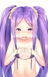 Rule 34 | 1girl, bikini, blush, fate/grand order, fate (series), flat chest, highres, long hair, looking at viewer, micro bikini, ntk (7t5), open mouth, purple eyes, purple hair, solo, swimsuit, twintails, v-shaped eyebrows, very long hair, white background, wu zetian (fate)