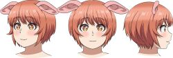 1girl alpha_transparency animal_ears blush brown_eyes close-up closed_mouth cropped_head elf-san_wa_yaserarenai. from_side medium_hair multiple_views official_art oku_(elf-san_wa_yaserarenai.) orange_hair pig_ears second-party_source simple_background straight-on synecdoche tareme transparent_background yellow_eyes