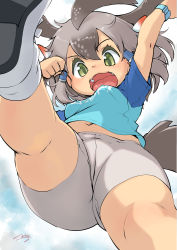 Rule 34 | 1girl, absurdres, arm up, banubeefriends, bare arms, bare legs, bike shorts, bird tail, breasts, clothes writing, cloud, cloudy sky, commentary request, covered erect nipples, crotch seam, day, foreshortening, from below, gluteal fold, greater roadrunner (kemono friends), green eyes, grey hair, hair between eyes, hair ornament, hair tubes, hand up, highres, kemono friends, kemono friends 2, looking at viewer, looking down, medium hair, multicolored hair, navel, open mouth, outdoors, shirt, shoe soles, shoes, short sleeves, shorts, sky, small breasts, solo, star (symbol), stomach, tail, thick thighs, thighs, upshirt