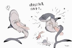 Rule 34 | !, animal focus, artist name, chinese text, closed eyes, closed mouth, commentary, english commentary, frown, highres, licking, original, scratches, shark, sharp teeth, simple background, spoken exclamation mark, star (symbol), teeth, translation request, white background, wide-eyed, yogin