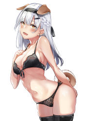 Rule 34 | animal ears, black bra, black hairband, black panties, black thighhighs, bra, braid, breasts, crown braid, dog ears, dog tail, earrings, front-tie bra, grey hair, hair ornament, hairband, hairclip, highres, jacob dream world, jewelry, lace, lace-trimmed bra, lace-trimmed panties, lace trim, long hair, medium breasts, navel, original, panties, simple background, standing, tail, thighhighs, underwear, underwear only, white background, yellow eyes