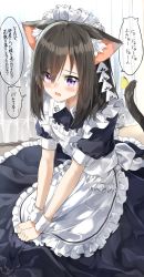 Rule 34 | 1girl, animal ear fluff, animal ears, apron, black dress, black hair, blush, cat ears, cat girl, cat tail, commentary request, curtains, dress, fang, frilled apron, frilled dress, frills, hair between eyes, highres, indoors, looking at viewer, maid, maid apron, maid headdress, open mouth, original, pentagon (railgun ky1206), puffy short sleeves, puffy sleeves, purple eyes, short sleeves, solo, tail, tail raised, translation request, white apron, wrist cuffs