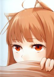 Rule 34 | 00s, 1girl, absurdres, ahoge, animal ears, ayakura juu, brown hair, close-up, eyelashes, fingernails, highres, holo, long hair, official art, red eyes, solo, spice and wolf, tail, wolf ears, wolf tail