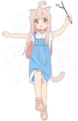 Rule 34 | 1girl, absurdres, animal, animal ear fluff, animal ears, bandaid, bandaid on knee, bandaid on leg, branch, cat ears, cat tail, commentary request, dress, highres, holding, holding branch, jiryu50610218, long hair, onii-chan wa oshimai!, open mouth, orange eyes, oyama mahiro, parted lips, pink footwear, pink hair, shoes, short sleeves, simple background, solo, tail, white background