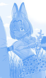 Rule 34 | 10s, 1boy, 1girl, animal ears, bar censor, blouse, blue theme, blush, breasts, cat ears, censored, erection, from side, hair between eyes, hetero, highres, kemono friends, large breasts, monochrome, outdoors, paizuri, paizuri under clothes, penis, serval (kemono friends), shirt, shirt tucked in, sleeveless, sleeveless shirt, smile, striped tail, tail