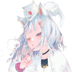 Rule 34 | 1girl, animal, animal ears, animal on head, black shirt, blue eyes, blush, breath, cat, cat ears, cat on head, closed eyes, collarbone, grey hair, hair ornament, heterochromia, highres, jacket, long hair, long sleeves, looking at viewer, on head, open mouth, original, parted lips, shirt, short eyebrows, shrimp cc, simple background, slit pupils, solo, thick eyebrows, upper body, white background, white cat, white jacket, yellow eyes