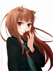 Rule 34 | 00s, 1girl, absurdres, animal ears, apple, ayakura juu, food, fruit, highres, holding, holding food, holding fruit, holo, red eyes, smile, solo, spice and wolf, tail, wolf ears