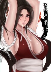 Rule 34 | 1girl, absurdres, breasts, cleavage, fatal fury, highres, large breasts, ponytail, shiranui mai, solo