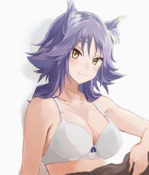 Rule 34 | 1girl, animal ear fluff, animal ears, artist request, blush, bra, breasts, cleavage, collarbone, commentary, commentary request, highres, large breasts, light smile, long hair, looking at viewer, makoto (princess connect!), princess connect!, simple background, underwear, underwear only, white background, white bra, wolf ears, wolf girl, yamabuki0, yellow eyes