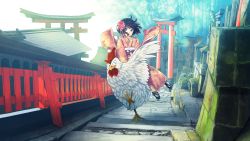 Rule 34 | 1girl, bird, black hair, blue eyes, chicken, chinese zodiac, flower, furai, hair flower, hair ornament, highres, japanese clothes, kimono, long sleeves, multiple torii, obi, original, riding, rooster, sash, short hair, stairs, torii, year of the rooster