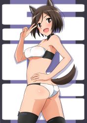 Rule 34 | 1girl, animal ears, ass, black panties, black thighhighs, blush, breasts, brown eyes, brown hair, butt crack, dog ears, dog tail, hand on own hip, highres, kuroda kunika, looking at viewer, looking back, medium breasts, multicolored clothes, multicolored panties, noble witches, open mouth, panties, shiny skin, short hair, smile, solo, strapless, tail, thighhighs, tricky 46, tube top, underboob, underwear, v, white panties, white tube top, world witches series