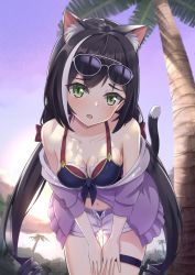Rule 34 | 1girl, animal ear fluff, animal ears, bare shoulders, bikini, black hair, blue bikini, blush, bow, breasts, cat ears, cat tail, commentary request, cowboy shot, drill hair, green eyes, hair bow, hands on own thighs, highres, hsk pad, jacket, karyl (princess connect!), karyl (summer) (princess connect!), leaning forward, long hair, looking at viewer, low twintails, multicolored hair, open mouth, outdoors, palm tree, princess connect!, purple jacket, shorts, solo, standing, streaked hair, swimsuit, tail, tail raised, thigh strap, tree, twintails, white hair, white shorts