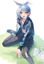 Rule 34 | 1girl, adidas, animal ears, arm support, black jacket, blue hair, blush, bottle, brand name imitation, breasts, collarbone, grass, highres, hololive, jacket, leggings, looking at viewer, midriff, naka1379, open clothes, open jacket, open mouth, orange eyes, pants, pocari sweat, rabbit-shaped pupils, rabbit ears, shoes, short hair, sitting, small breasts, sneakers, solo, sports bra, sweat, symbol-shaped pupils, thick eyebrows, torn clothes, torn pants, usada pekora, virtual youtuber, water bottle