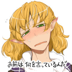 Rule 34 | 1girl, bad id, bad pixiv id, blonde hair, blush, disgust, elf, embarrassed, female focus, green eyes, mizuhashi parsee, open mouth, pointy ears, portrait, simple background, solo, squinting, sweat, teeth, text focus, toriga naku, touhou, translated, white background