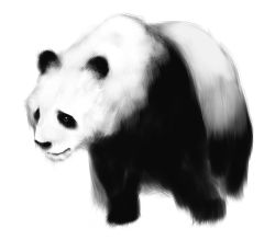 Rule 34 | black eyes, body fur, copyright request, greyscale, looking at viewer, monochrome, no humans, panda, poaro, simple background, solo, white background