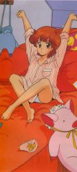 Rule 34 | 1980s (style), 1girl, artist request, bag, barefoot, bed, bedroom, blue eyes, breast pocket, brown hair, feet, fox print, highres, jpeg artifacts, kazuki mai, looking at viewer, magical girl, mahou no star magical emi, oldschool, pajamas, panties, pantyshot, parted lips, pillow, plaid, plaid panties, pocket, print panties, red hair, retro artstyle, shirt, short hair, short sleeves, sitting, sleeves rolled up, stretching, striped clothes, striped shirt, stuffed animal, stuffed pig, stuffed toy, underwear, wall, white panties, white shirt