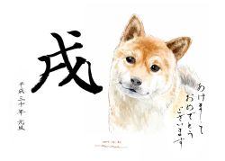 Rule 34 | animal focus, dated, dog, head tilt, horikou, looking at viewer, new year, no humans, original, realistic, shiba inu, signature, simple background, solo, translation request, white background