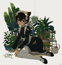 Rule 34 | 1girl, absurdres, animal ear fluff, animal ears, apron, black footwear, black hair, blush, cat ears, cat girl, chair, collared dress, commentary, dress, english commentary, flower, frilled dress, frills, full body, grey eyes, hair between eyes, hanging plant, highres, kgt (pixiv12957613), long sleeves, looking at viewer, maid, maid apron, maid headdress, mary janes, neck ribbon, one side up, original, pantyhose, parted lips, plant, potted plant, puffy long sleeves, puffy sleeves, red ribbon, ribbon, shoes, short hair, signature, simple background, solo, watering can, white background, white flower, white pantyhose