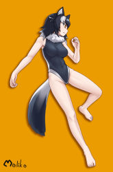 Rule 34 | 10s, 1girl, adapted costume, alternate costume, animal ears, bare arms, bare legs, bare shoulders, barefoot, commentary, competition swimsuit, fur collar, grey hair, grey wolf (kemono friends), highres, kemono friends, long hair, moriko (moliko), multicolored hair, one-piece swimsuit, signature, solo, swimsuit, tail, white hair, wolf ears, wolf tail, yellow eyes