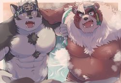 Rule 34 | 2boys, animal ears, animal nose, bara, bear boy, bear ears, border, brown fur, chest hair, facepaint, fangs, fangs out, fat, fat man, furry, furry male, green eyes, grey fur, grey hair, hand on another&#039;s chest, hand on another&#039;s shoulder, headband, highres, horkeu kamui, kimun kamui (housamo), large pectorals, looking at viewer, male focus, multicolored hair, multiple boys, muscular, muscular male, navel, nipples, nude, onsen, open mouth, outside border, partially submerged, pectorals, sawch cls, scar, scar on face, scar on mouth, sharp teeth, short hair, snout, steam, teeth, thick eyebrows, tokyo houkago summoners, two-tone fur, two-tone hair, upper body, white border, white fur, white hair, wolf boy, wolf ears, yellow eyes
