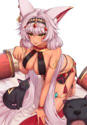 Rule 34 | 1girl, 2others, absurdres, animal, animal ear fluff, animal ears, black cat, blush, breasts, cat, cleavage, dark-skinned female, dark skin, earrings, facial tattoo, guardian tales, highres, ice witch lupina, jewelry, large breasts, long hair, multiple others, official alternate costume, revealing clothes, tattoo, tongue, tongue out, white hair, wolf ears, wolf girl, xize9247, yellow eyes